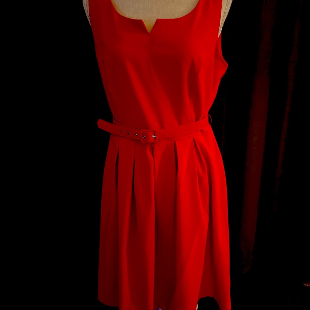 Elegant belted dress